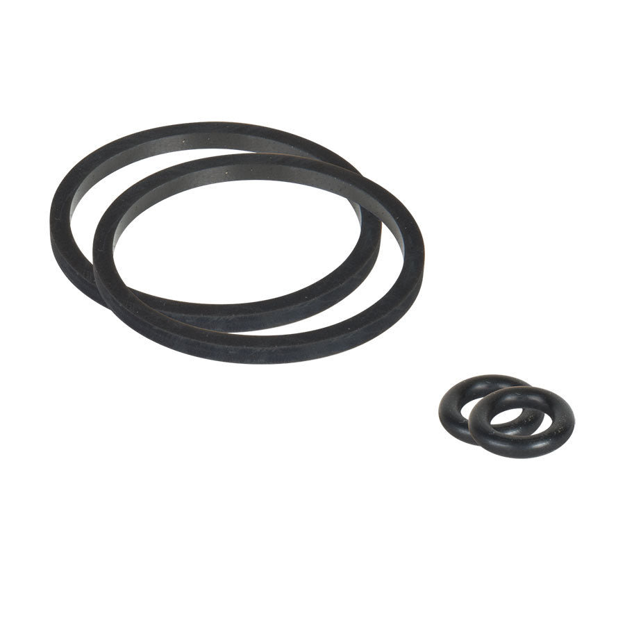 B2607-Caliper O-Ring Kit  For 1996 &amp; Newer Strange Two Piston Caliper